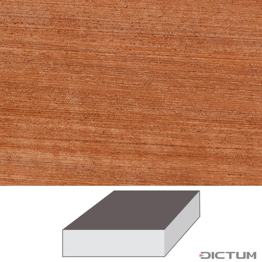 Brown Ivory (ivoire marron), 205 x 205 x 52 mm