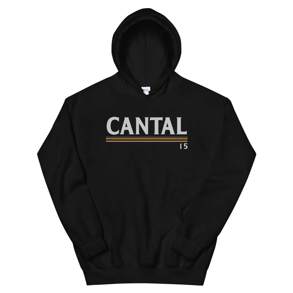 Cantal - 15 - couleurs vintage - Sweat à Capuche standard