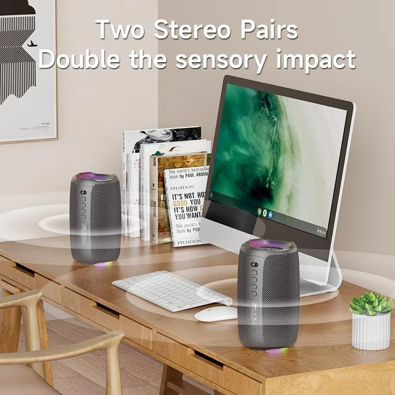 Enceinte Bluetooth Sans Fil Karaoke Avec Lumières RGB