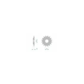 Pignon AFAM acier standard 61301 - 520