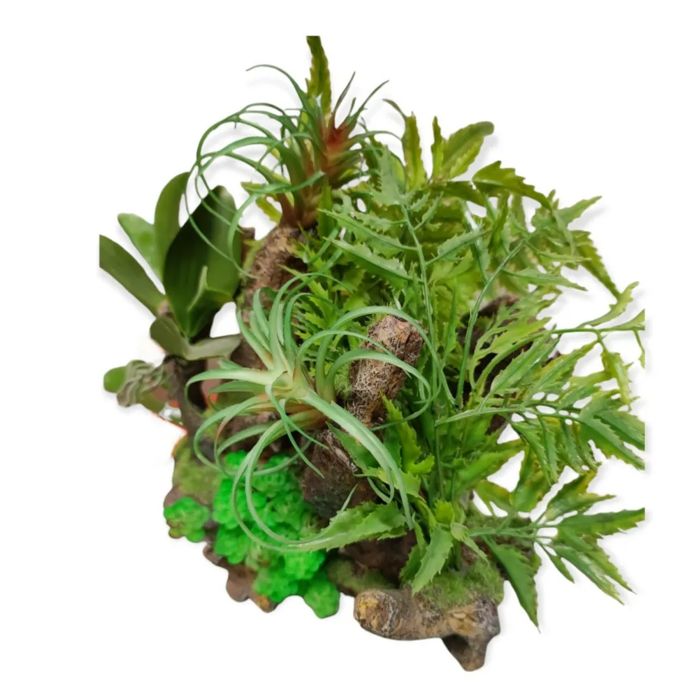 Racine et plantes, 36 x 31 x 33 cm, décoration aquarium.