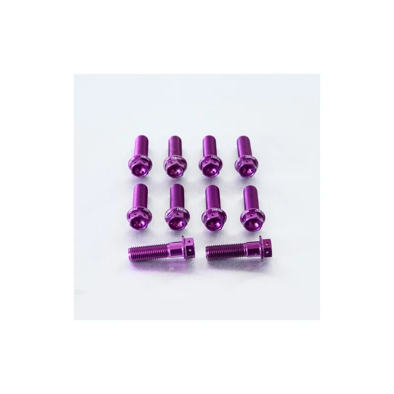 Vis Aluminium Tête Hex Pré-Percée M10 x 1.25mm x 35mm  Pack x 10